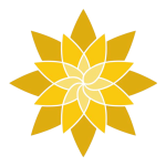 نور للصرافة logo