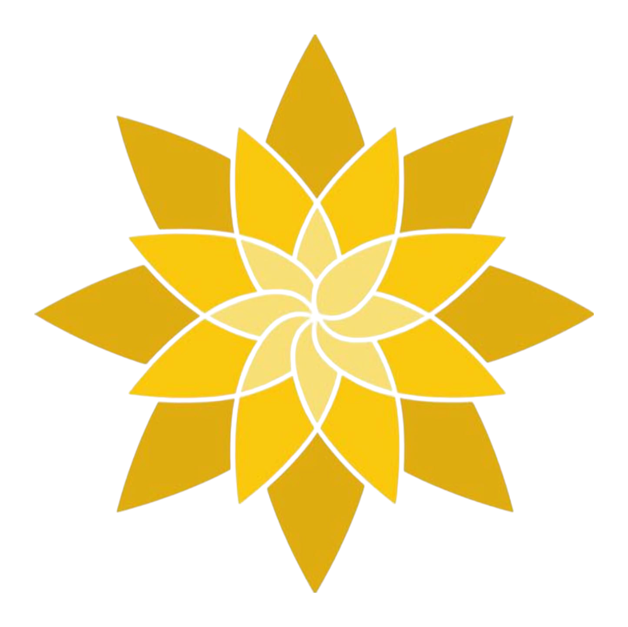 نور للصرافة logo