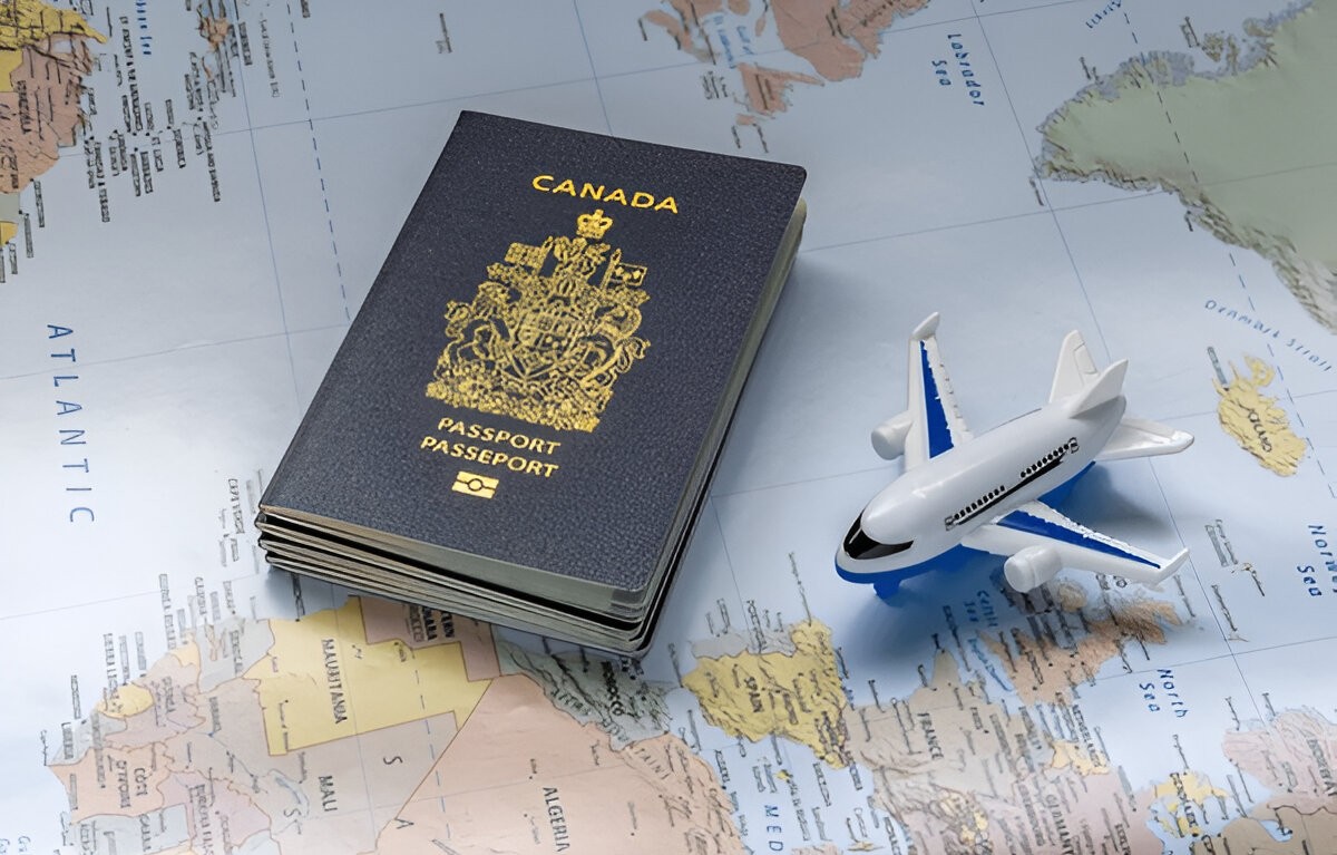 إياد الباشا