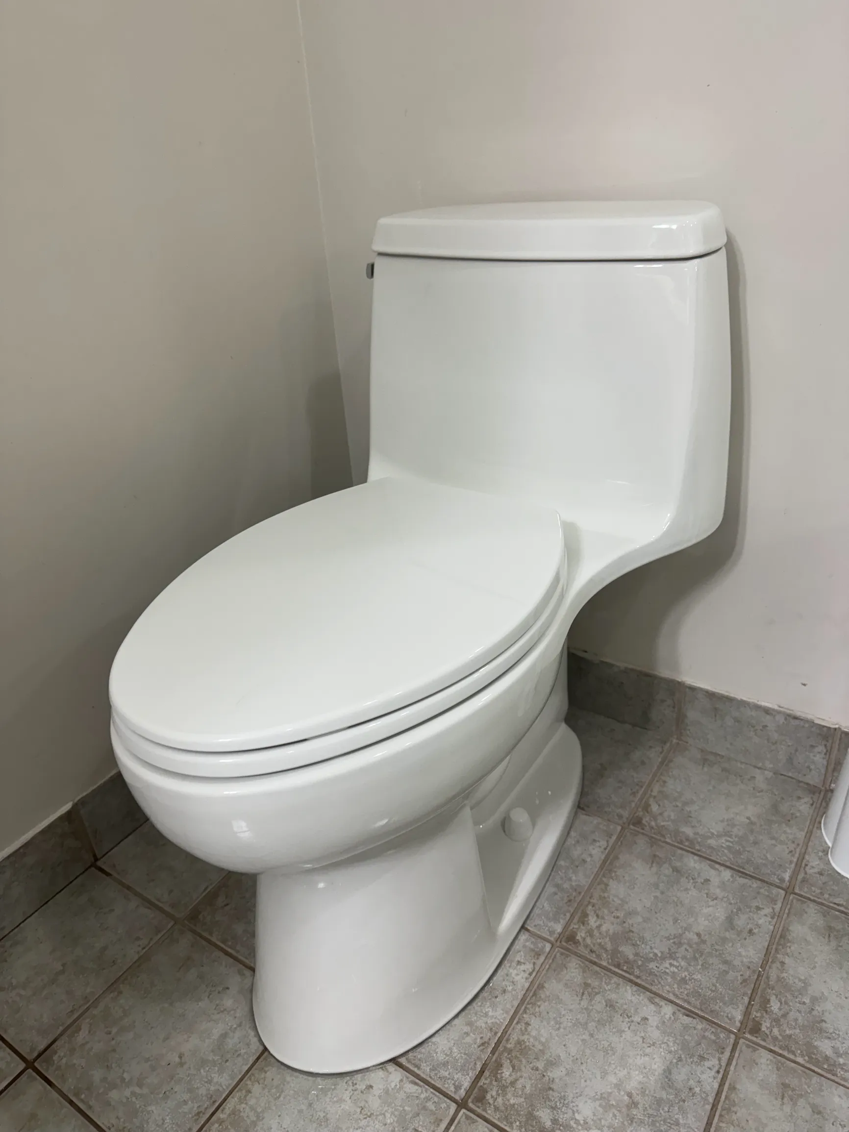 Plumbing Pal _ a white toilet sitting