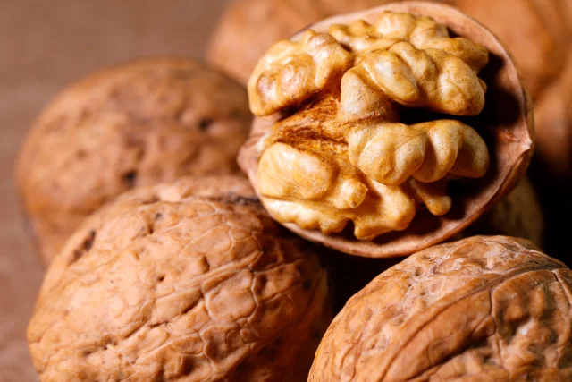 Roasted Nut Factory